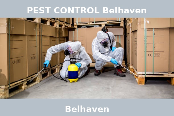 PEST CONTROL Belhaven